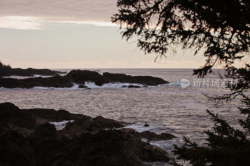 Wild Pacific Trail View